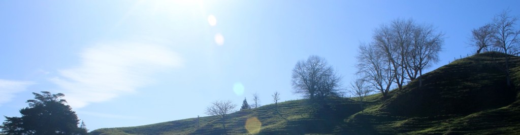 cropped-img_3361-1.jpg
