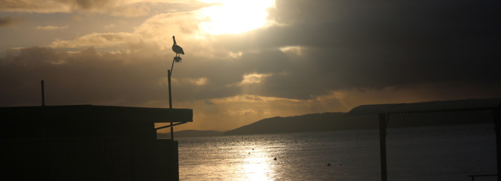 cropped-img_5275.jpg