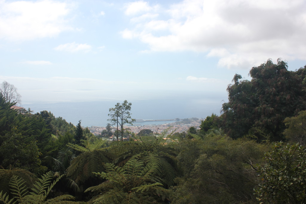 IMG_0927 (2)