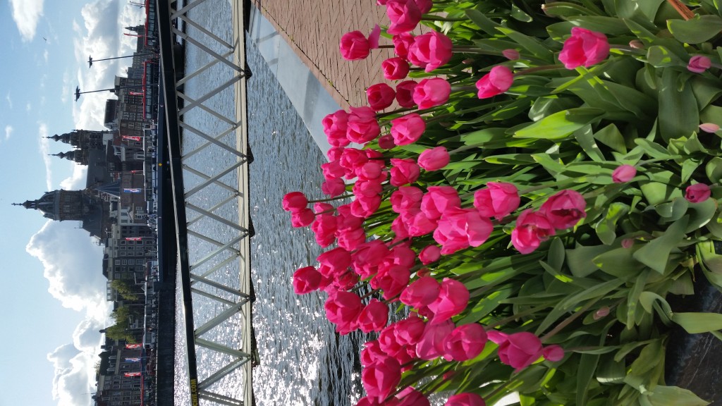 20160423_171020.jpg