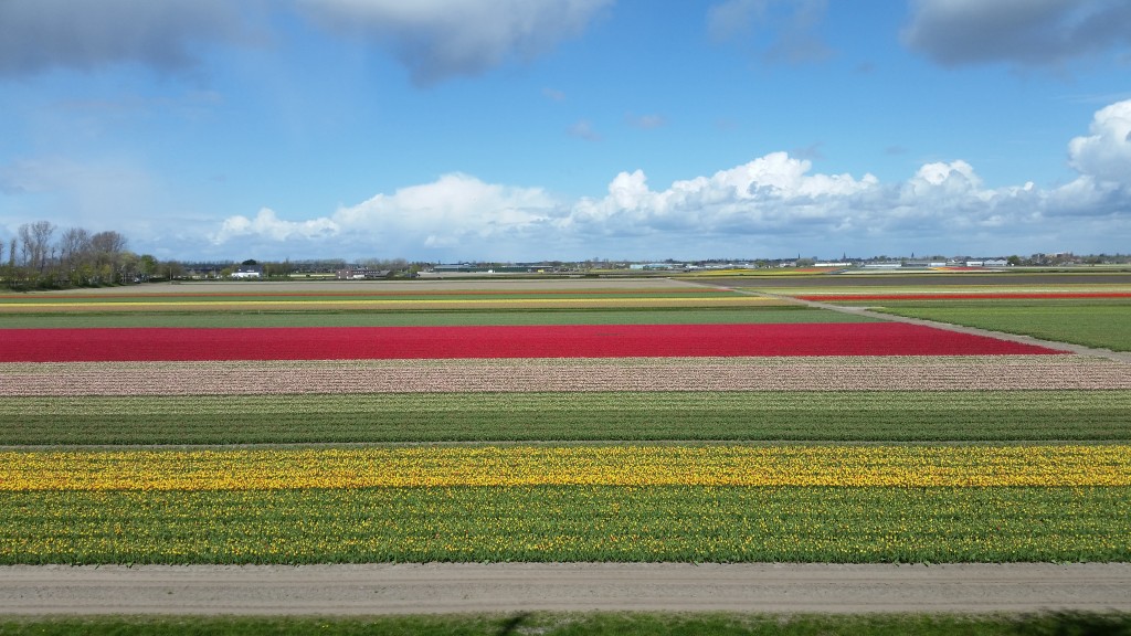 20160424_145210.jpg