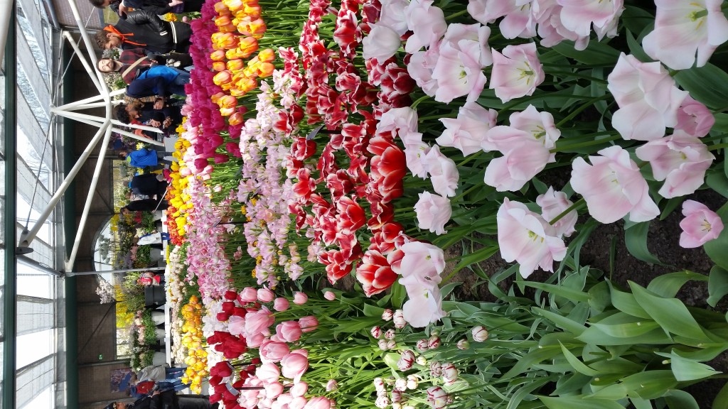 20160424_151340.jpg