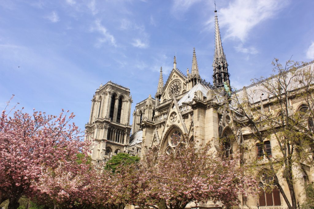 Flowers in bloom in front of the Notre Dame.